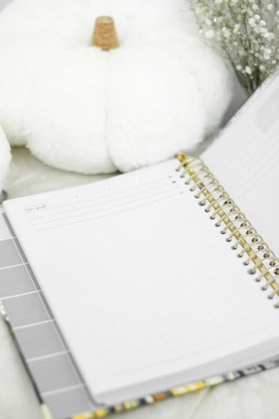 یدک100برگ 20حلقه 100گرم سری کیوت