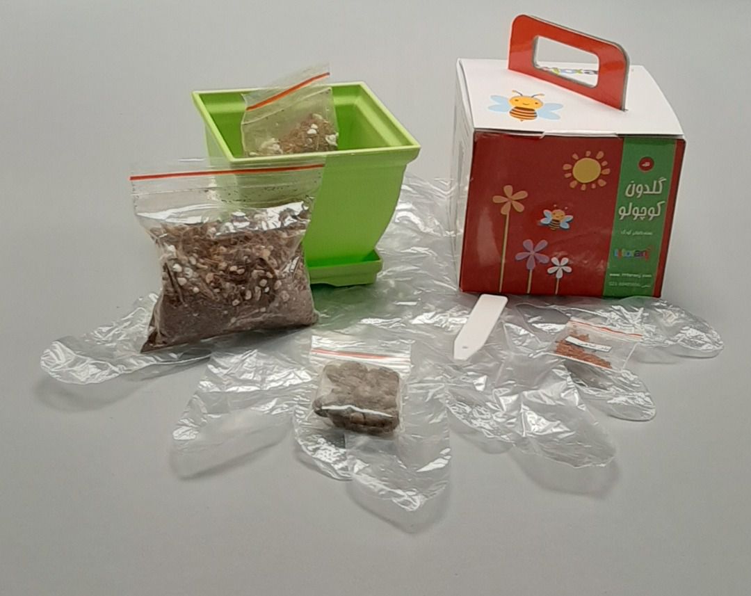 بسته گلدون کوچولو