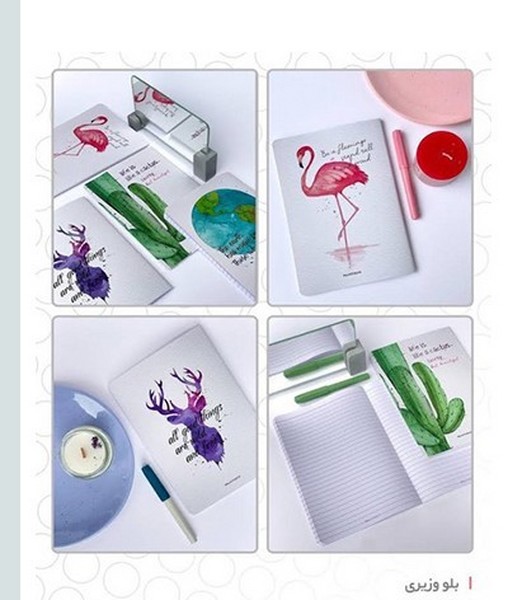 دفتر بلو وزیری