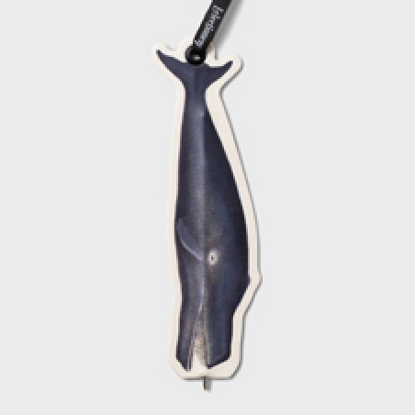 قلم بوکمارکی/Flat مقوایی Whale کد 37823